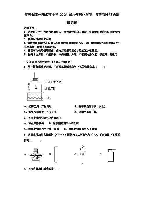 江苏省泰州市求实中学2024届九年级化学第一学期期中综合测试试题含答案解析