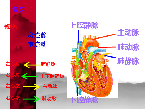 输血与血型2讲述