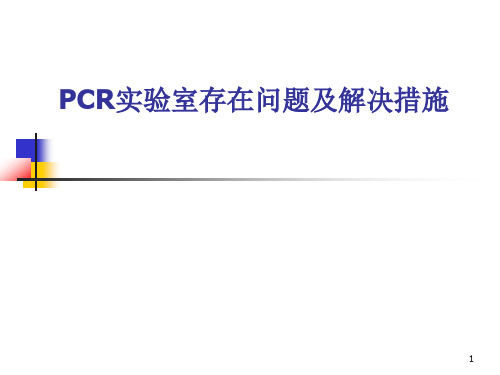 最新 PCR审核存在问题及解决措施