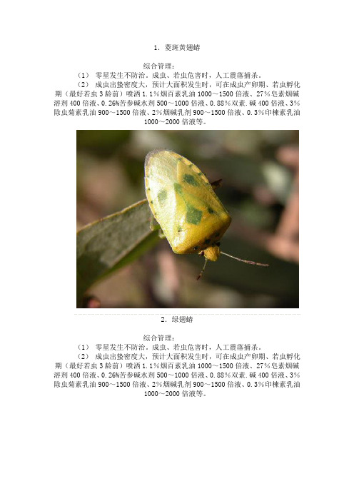 园林绿化常见害虫(图文并茂地介绍了园林绿化常见害虫及其针对防治办法)