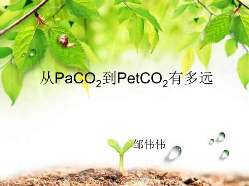 从PaCO2到PetCO2有多远