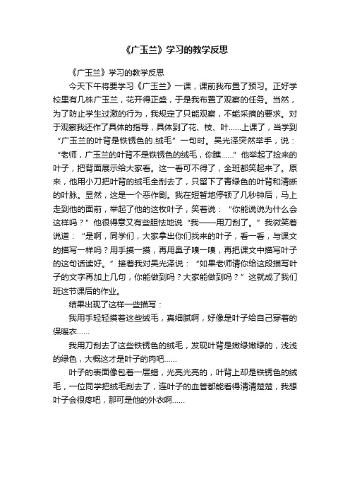 《广玉兰》学习的教学反思