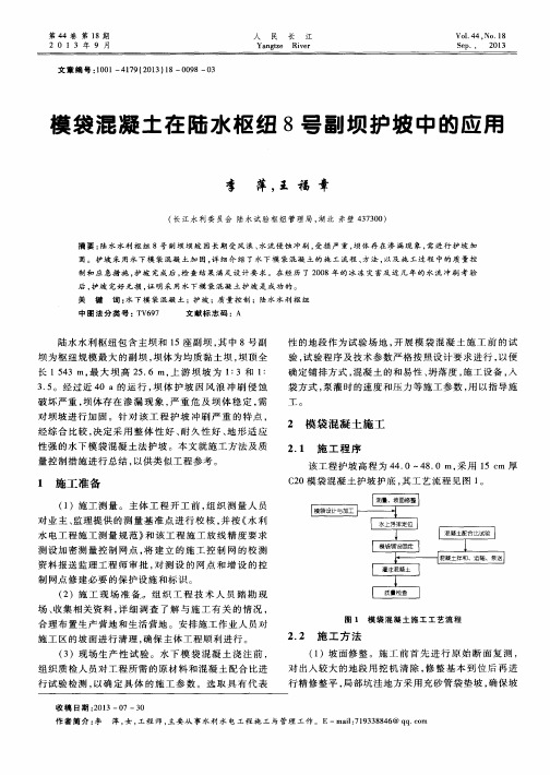 模袋混凝土在陆水枢纽8号副坝护坡中的应用