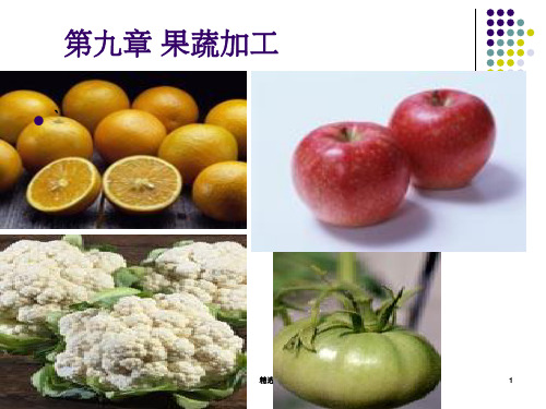 《果蔬加工》PPT课件