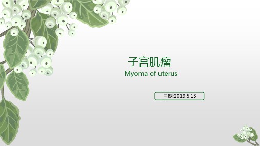 子宫肌瘤