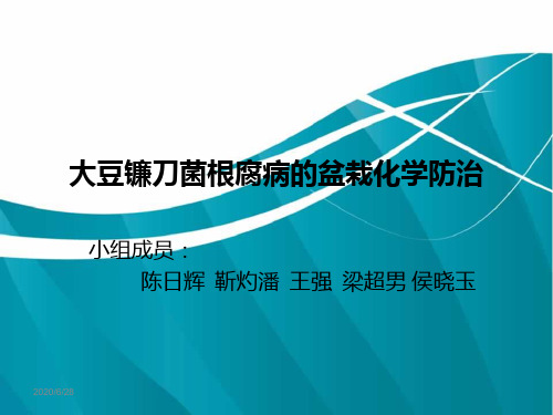 大豆镰刀菌根腐病的盆栽化学防治