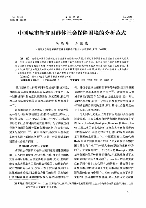 中国城市新贫困群体社会保障困境的分析范式