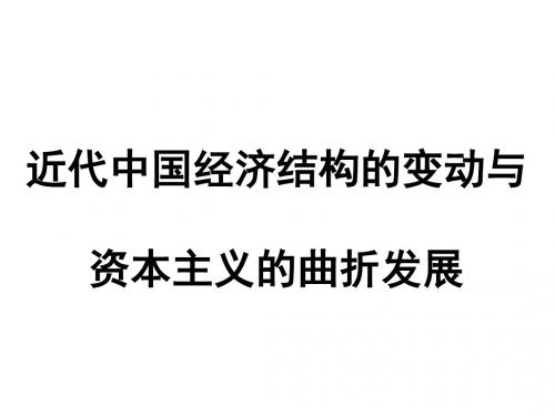 近代中国经济结构的变动与资本主义的曲折发展PPT实用课件6