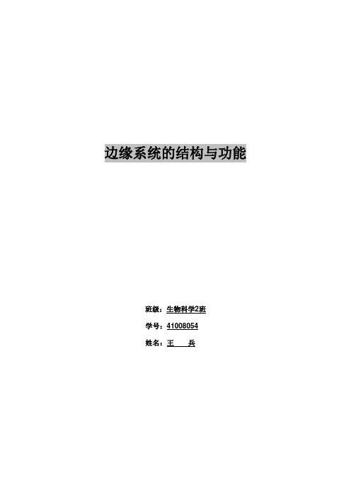 神经系统图谱分析