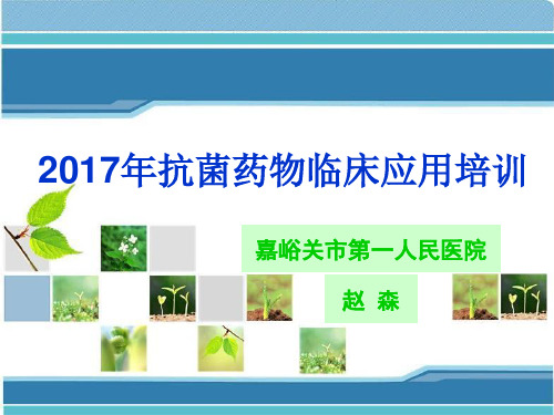 2017年抗菌药物临床应用培训