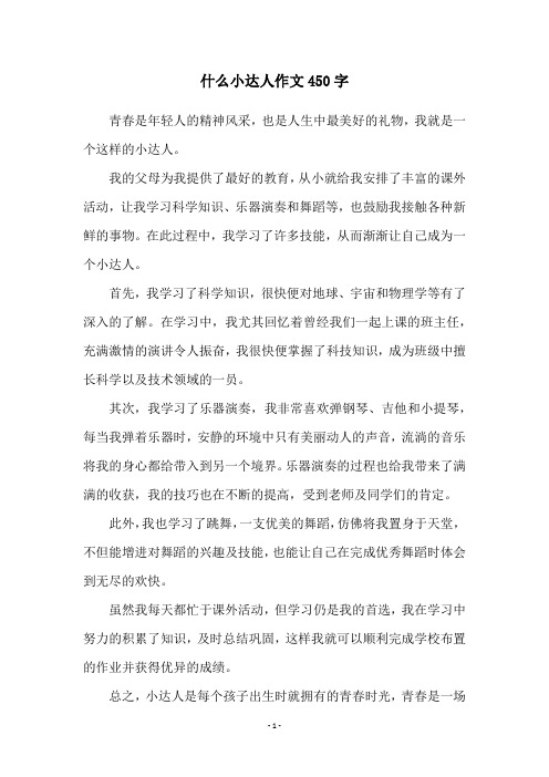 什么小达人作文450字