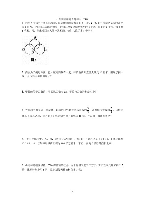 六年级下册数学试题-小升初应用题专题练习(30)【全国通用】