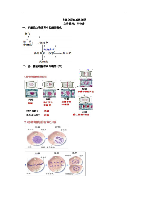 北京市第四中学高考生物总复习例题讲解：有丝分裂和减数分裂 