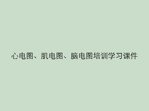 心电图、肌电图、脑电图培训学习课件