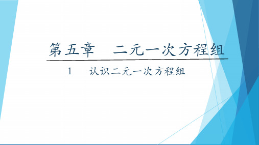 5.1 认识二元一次方程组 公开课获奖课件