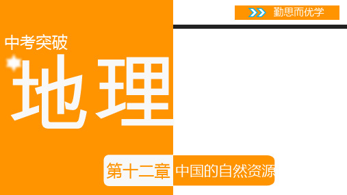 中考地理复习课件第十二章中国的自然资源 共31张PPT.pptx