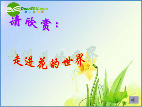 七年级生物第二章第三节开花和结果课件人教版[4]