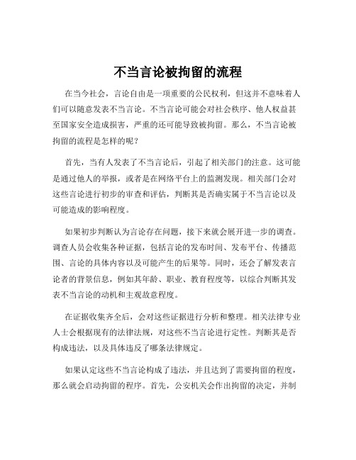 不当言论被拘留的流程