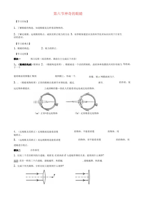 神奇的眼睛教优秀学案