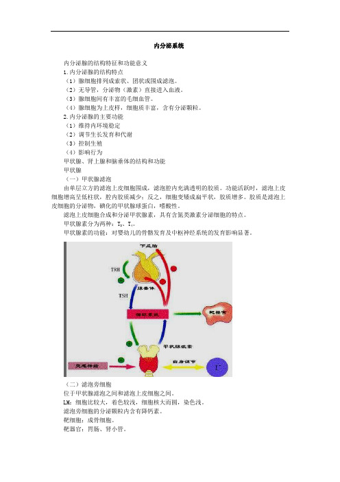 内分泌系统考点总结