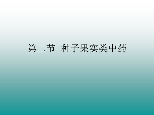 第二节  果实种子类中药