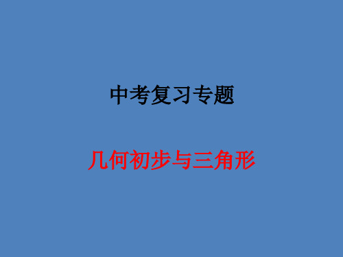 北师大版中考数学专题复习——几何初步与三角形