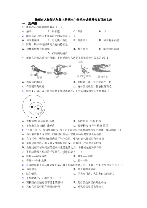 徐州市人教版八年级上册期末生物期末试卷及答案百度文库