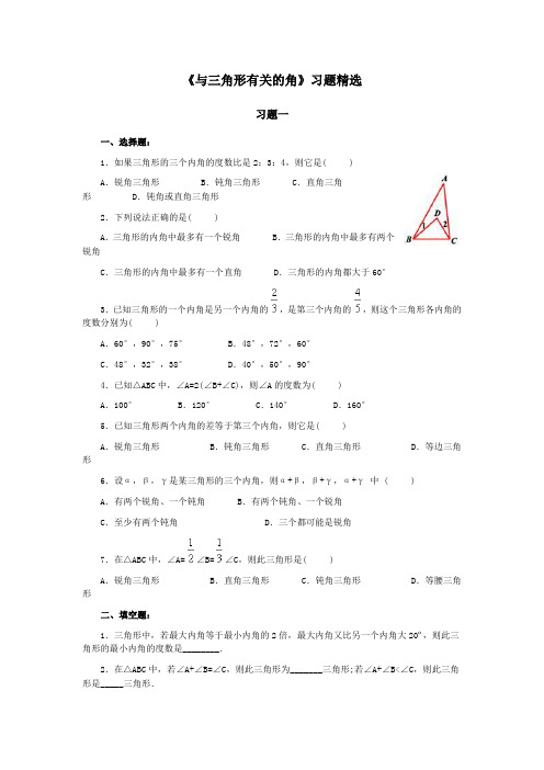 《与三角形有关的角》习题精选