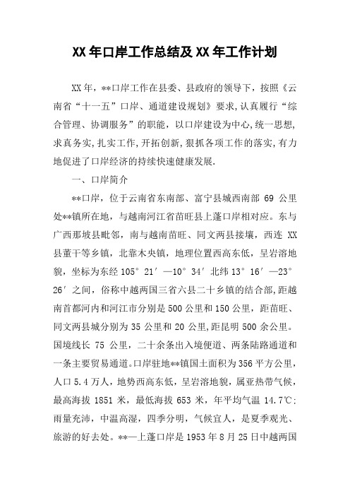 XX年口岸工作总结及XX年工作计划.docx