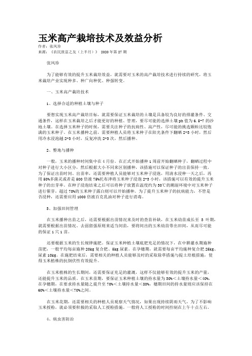 玉米高产栽培技术及效益分析