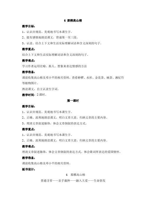 6 那棵高山榕
