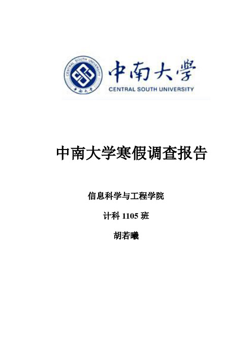 2013年假期社会实践报告