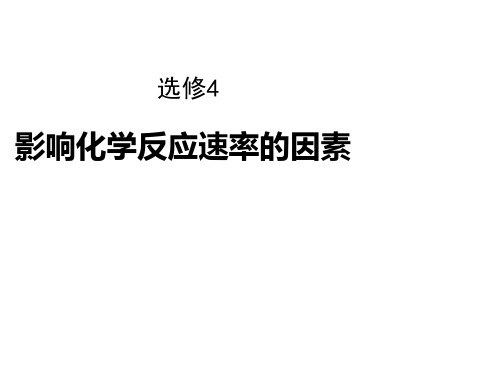 课件：2.3.3外界条件对化学反应速率的影响鲁科版高中化学选修四2