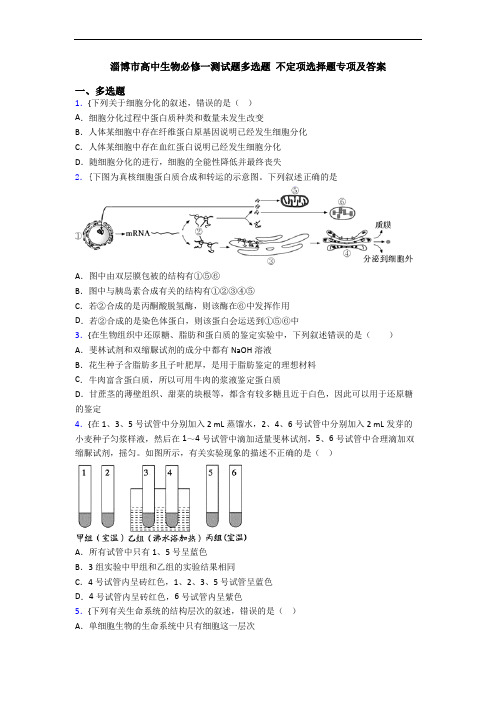 淄博市高中生物必修一测试题多选题 不定项选择题专项及答案