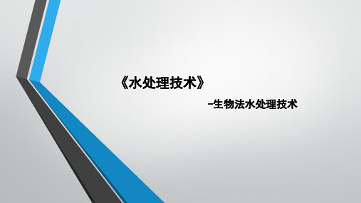 《水处理技术及原理》第12章 -生物法水处理技术