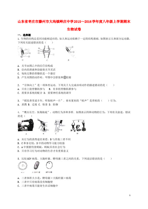 山东省枣庄市滕州市大坞镇峄庄中学学八年级生物上学期期末试卷(含解析) 新人教版