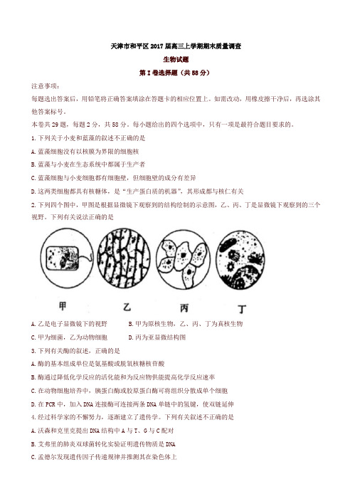 [精品]天津市和平区高三上学期期末质量调查生物试题(有答案)