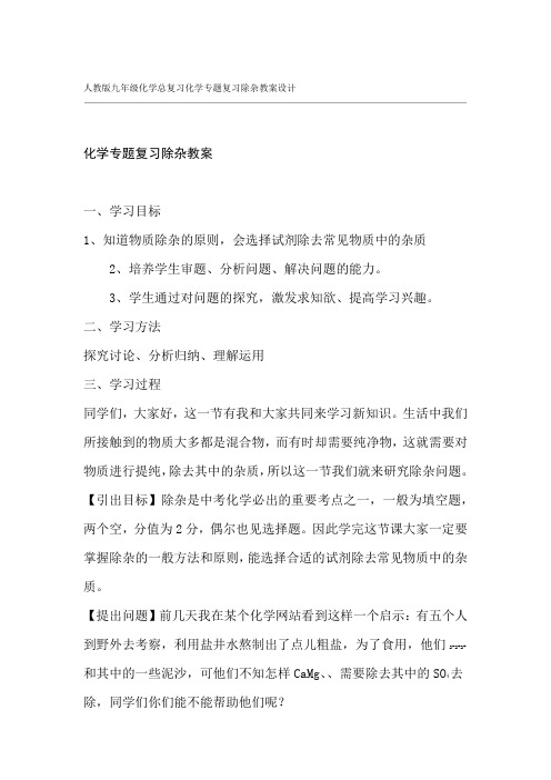 人教版九年级化学总复习化学专题复习除杂教案设计