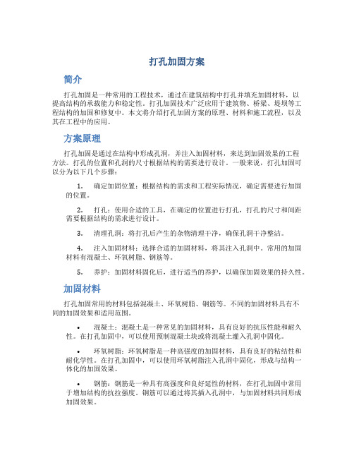 打孔加固方案