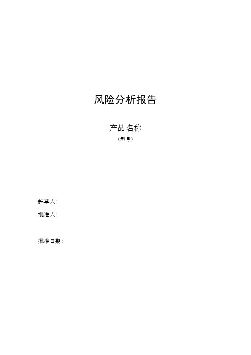 风险分析报告模版