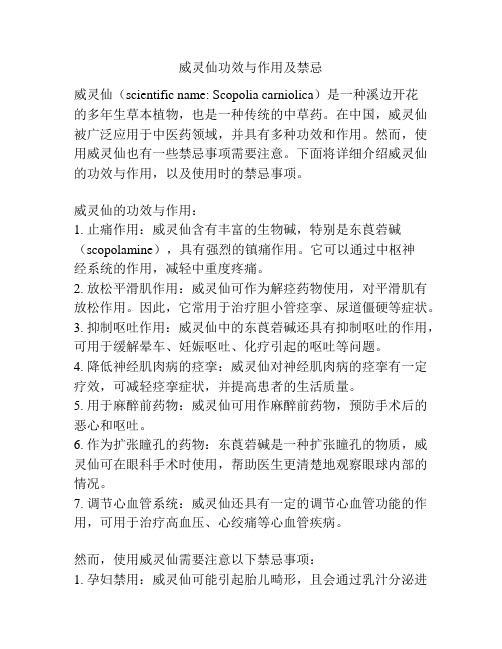 威灵仙功效与作用及禁忌