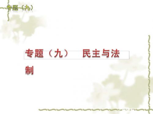 【历史课件】2012年中考历史第二轮热点民主与法制专题复习