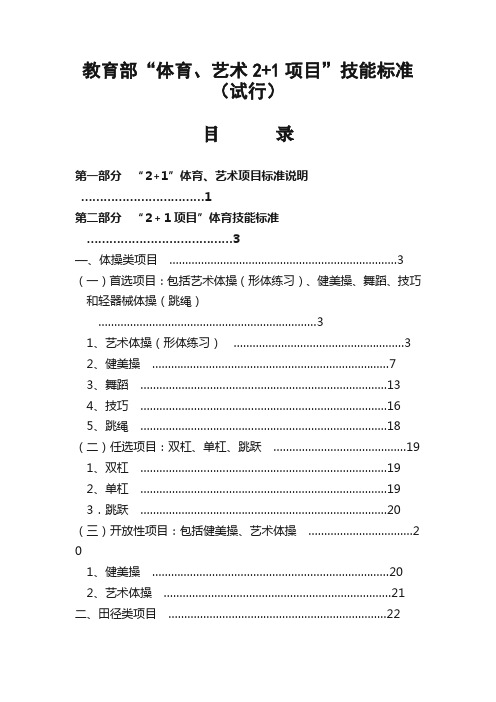 教育部体育艺术2+1