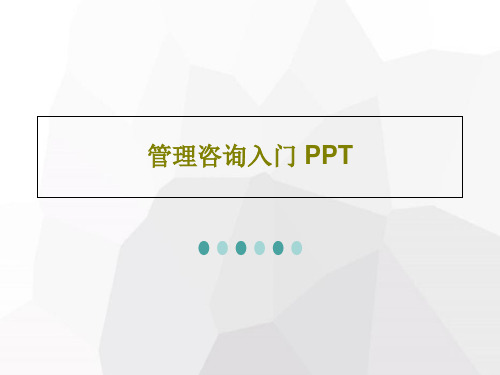 管理咨询入门 PPT共115页文档