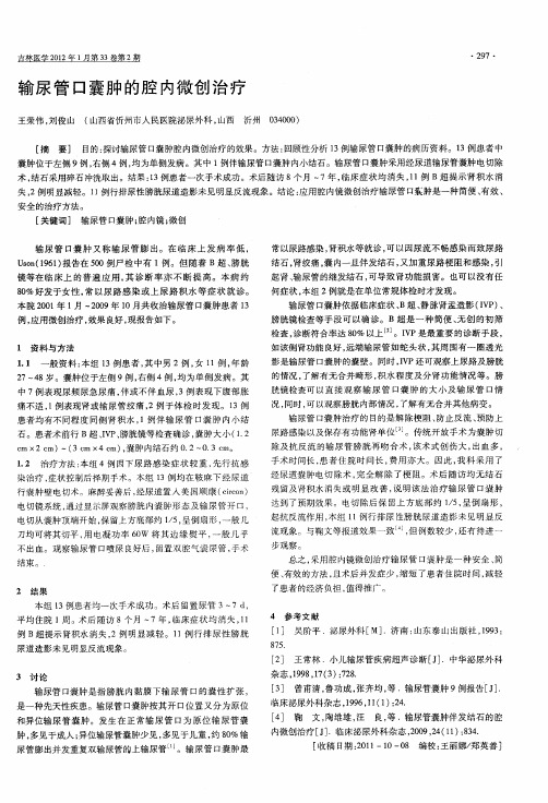 输尿管口囊肿的腔内微创治疗