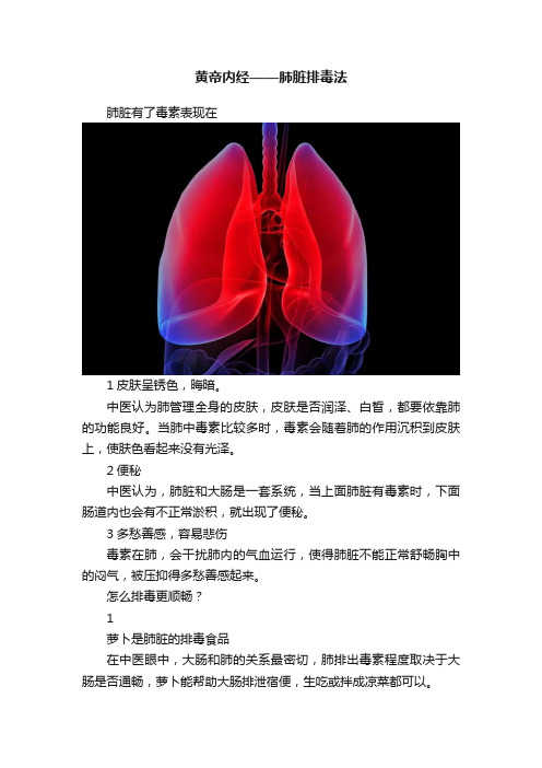 黄帝内经——肺脏排毒法