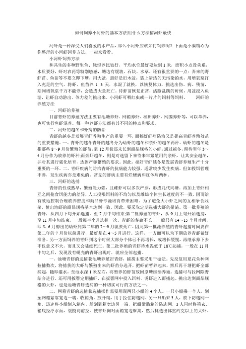 如何饲养小河虾的基本方法-用什么方法捕河虾最快