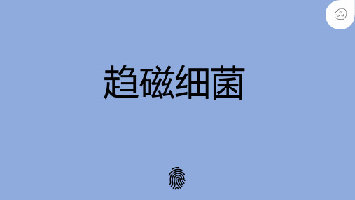 趋磁细菌