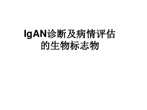 IgAN诊断及病情评估的生物标志物解读