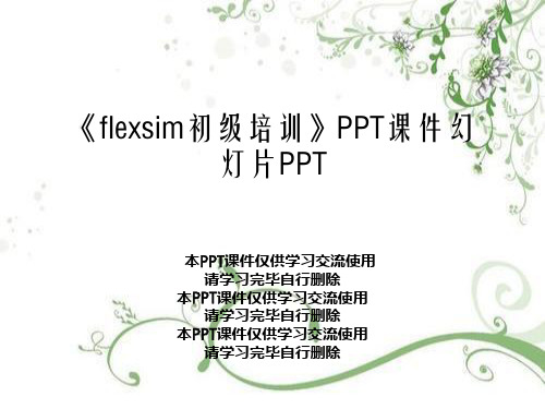 《flexsim初级培训》PPT课件幻灯片PPT